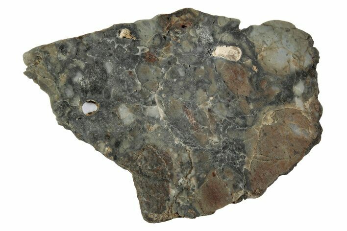 Lunar Meteorite Slice ( g) - NWA #346567